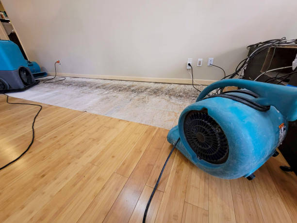 Professional Water Damage Repair technician working in Urbana, IA